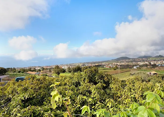 Casa Andrea * Tacoronte